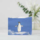 Suche nach lustige pinguine postkarten Eis