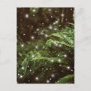 Suche nach farn postkarten Für sie