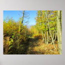 Suche nach wald im herbst poster Bäume