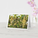 Suche nach weintraube karten Obst