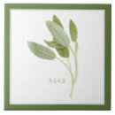 Suche nach rosmarin wohnen zuhause Jede person