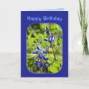 Suche nach texasbluebonnet Texas staats blume