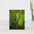 Suche nach lily of the valley karten Natur