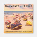 Suche nach galveston magnete Texas