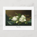 Suche nach samt postkarten Magnolien