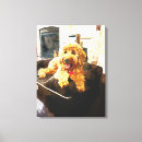 Suche nach kamin leinwandbilder Hund