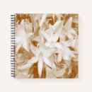 Suche nach reinheit Blume