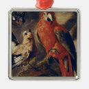 Suche nach ara ornamente Vogel