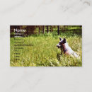 Suche nach beobachter Hund
