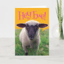 Suche nach niedliches lamm karten Tiere