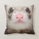 Suche nach frettchen kissen Niedlich