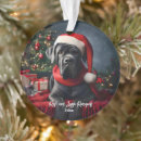 Suche nach cane corso ornamente Lustig