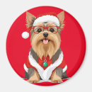 Suche nach yorkshire terrier magnete Haustier