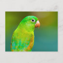 Suche nach leuchtend grün postkarten Foto