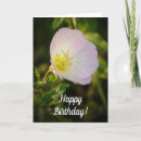 Suche nach primzahl karten Wildblume