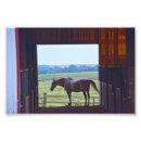 Suche nach stabil poster Scheune