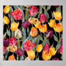 Suche nach bunte tulpen poster Blume