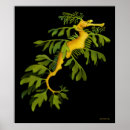 Suche nach belaubt kunst Seepferd