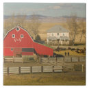 Suche nach gebiet fliesen Ranch