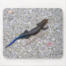 Suche nach blaue eidechse mousepads Natur