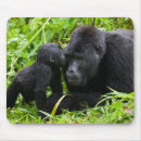 Suche nach berggorilla mousepads Regenwald