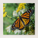 Suche nach flügel puzzle Tierwelt