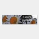 Suche nach gänseblümchen autoaufkleber Blumen
