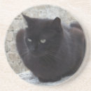 Suche nach die schwarze katze untersetzer Jede person