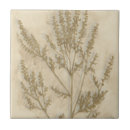 Suche nach vergoldete fliesen Botanisch