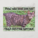 Suche nach wildkatze postkarten Wildtiere