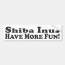 Suche nach shiba inus Hund