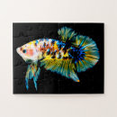 Suche nach betta Aquarium