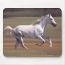 Suche nach weiße pferde mousepads Natur