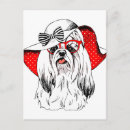 Suche nach lustige yorkie postkarten Yorkshire