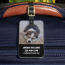 Suche nach corgi gepäckanhänger Haustier
