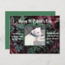 Suche nach grünes kleeblatt postkarten Für alle