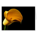 Suche nach lilly postkarten Gelb