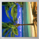Suche nach paradise poster Tropical