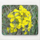 Suche nach gelbe wildblumen mousepads Jede person