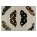 Suche nach die insekten schneidebrettchen Schmetterling