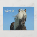 Suche nach schöne pferde postkarten Braun