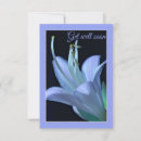 Suche nach hosta postkarten Blau