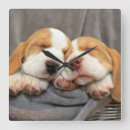 Suche nach beagles wanduhren Welpe