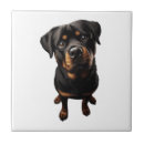 Suche nach rottweiler fliesen Wolf