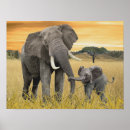 Suche nach afrikanische landschaft poster Wildtiere