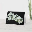 Suche nach lee Blume