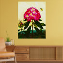 Suche nach rhododendron poster Blume