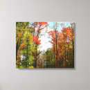 Suche nach herbstbaum leinwandbilder Wald