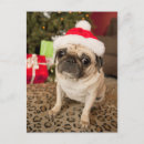 Suche nach weihnachts mops postkarten Spaß