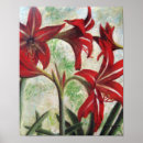 Suche nach amaryllis poster Farbig
